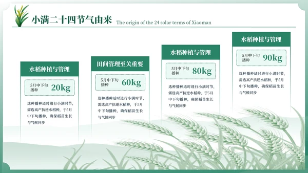 小满中国风教育教学通用模板PPT模板