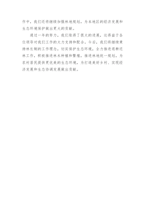 林长制个人述职报告.docx