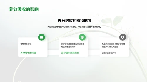 解析植物生长速度变化对农作物产量的影响