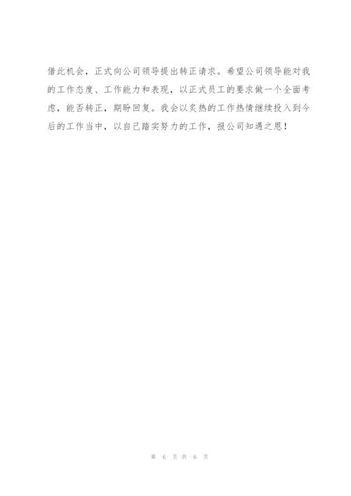 it员工试用期工作总结怎么写.docx