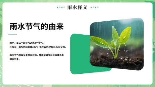 雨水节气燕子元素通用PPT绿色模板