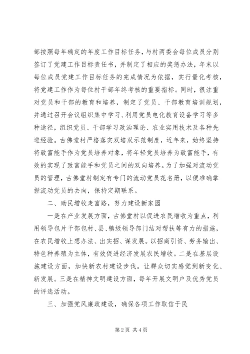 先进村支部事迹材料.docx