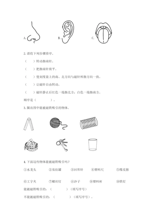 教科版二年级下册科学知识点期末测试卷完整.docx