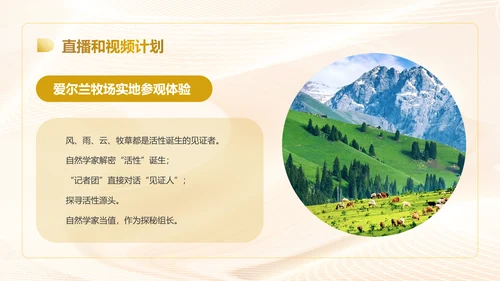 奶粉品牌溯源整合营销方案PPT模板