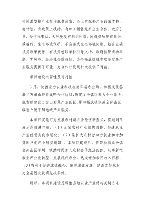 扶贫工厂实施专项方案.docx