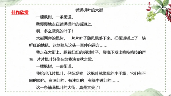 5 《铺满巴掌的水泥道》仿写指导课件