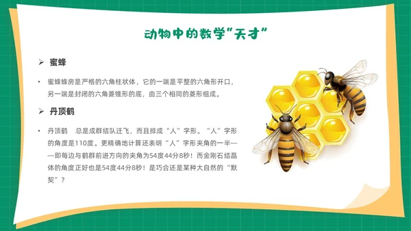 绿色卡通简约背景创意边框儿童数学趣味数学PPT模板