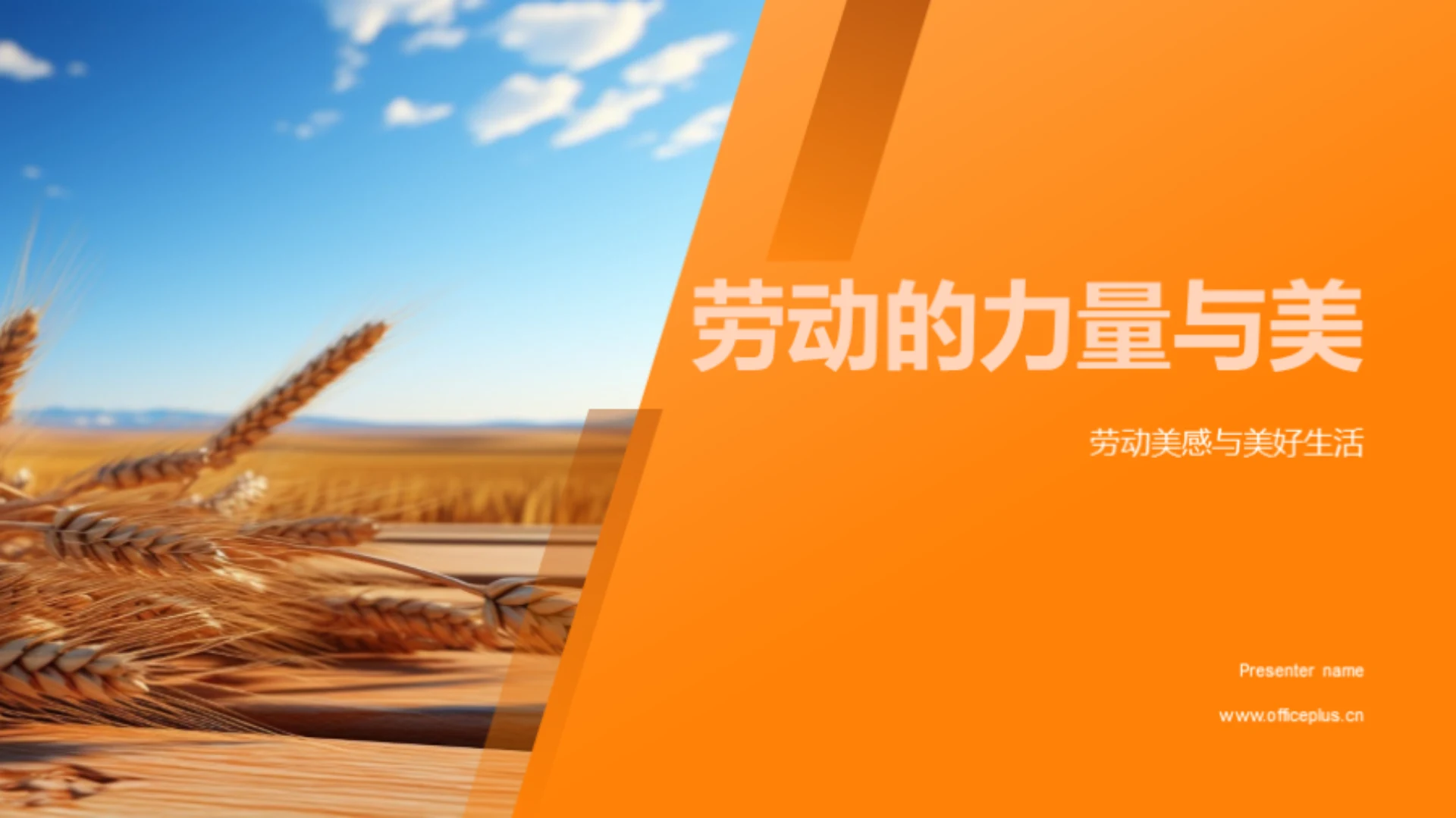 劳动的力量与美