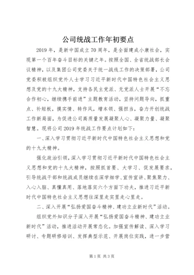 公司统战工作年初要点.docx