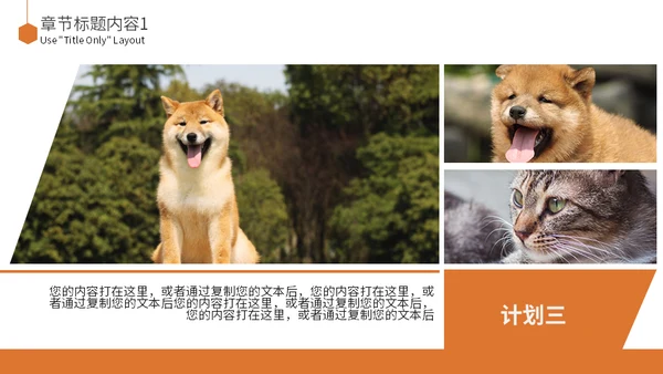 宠物乐园萌宠狗狗主题通用PPT模板