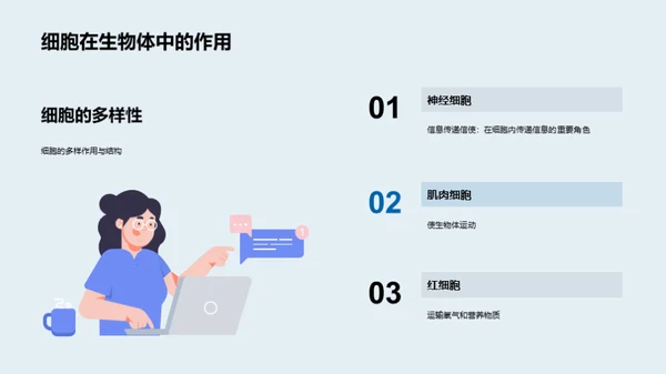 细胞结构与功能