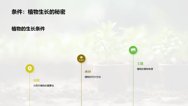 植物的秘密世界