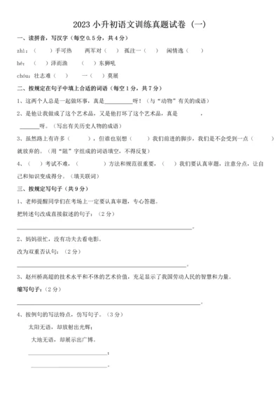 2023年小升初语文试题及解答四套.docx