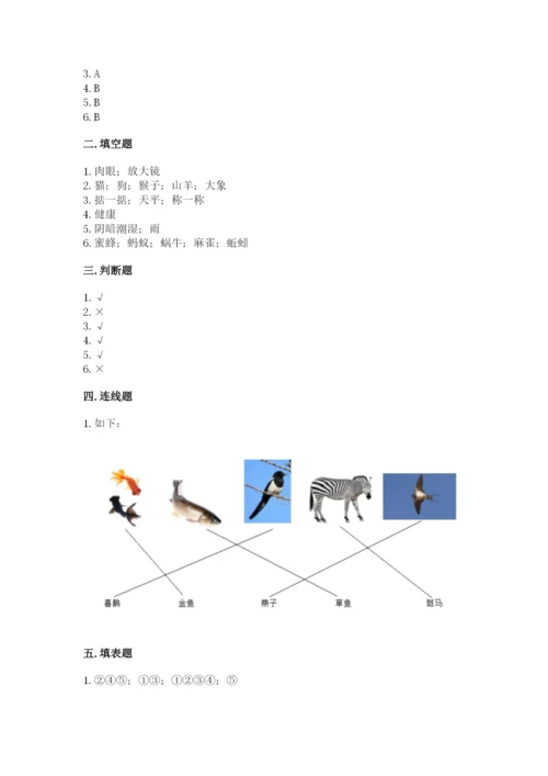 教科版一年级下册科学期末测试卷（模拟题）.docx