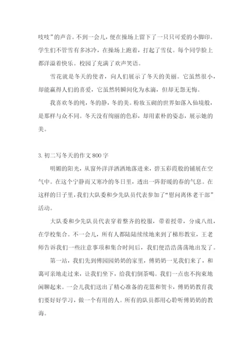 初二写冬天的作文800字5篇.docx