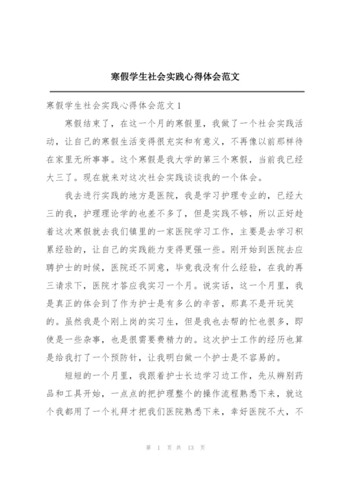 寒假学生社会实践心得体会范文.docx