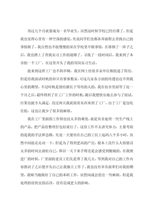 工厂顶岗实习总结