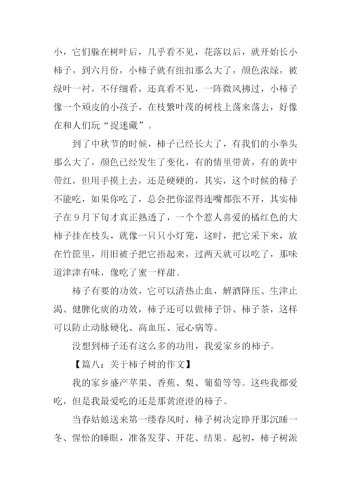 描写柿子树的作文.docx