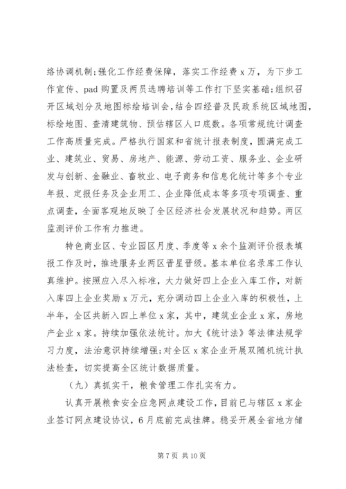 统计局半年总结及计划.docx