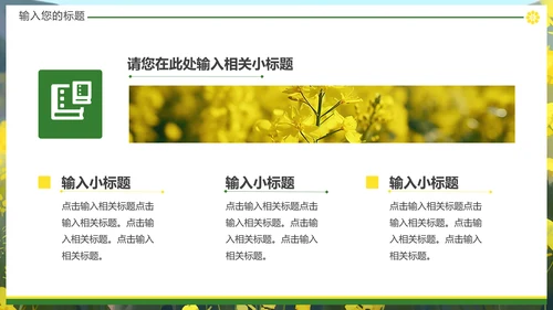 油菜花摄影，油彩花开PPT模板