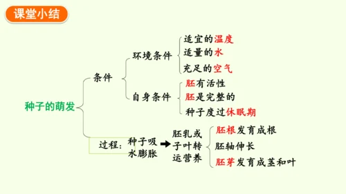3.1.1 种子的萌发-七年级生物下学期同步精品课件（2024人教版）(共25张PPT)