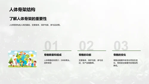人体系统协作讲座PPT模板