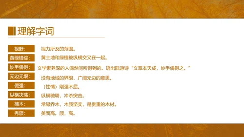 初中语文茅盾《白杨礼赞》PPT教学课件