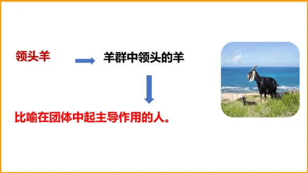 统编版四年级语文下册同步精品课堂系列语文园地四（教学课件）