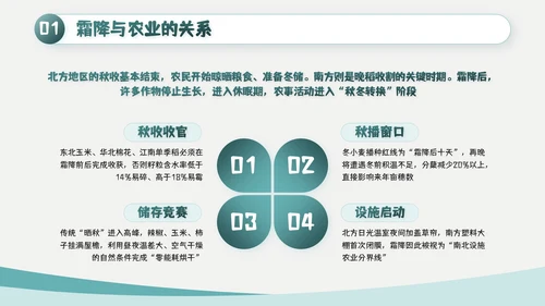 绿色简约风霜降主题班会PPT模板