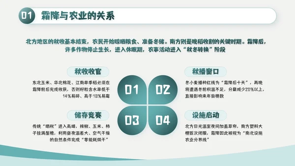 绿色简约风霜降主题班会PPT模板