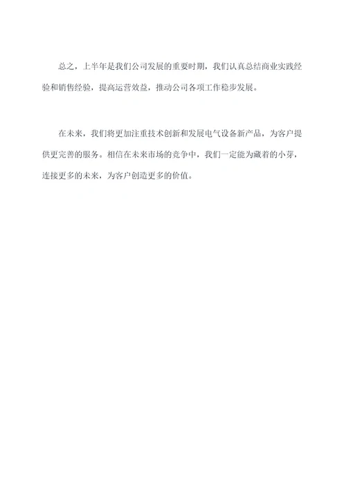 电气设备销售半年总结