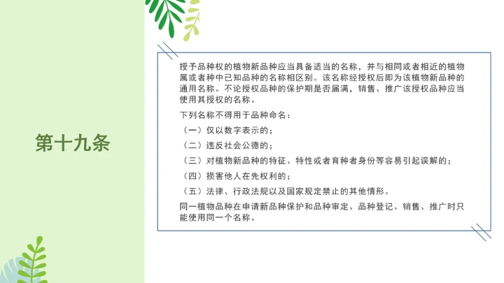 普法全文学习2025年4月新修订《中华人民共和国植物新品种保护条例》PPT课件
