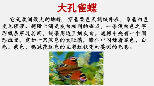 八年级上册语文第五单元 名著导读 《昆虫记》 课件