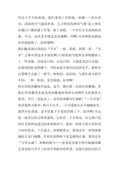 春节间发生的趣事800字作文春节作文