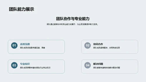 团队实力与未来展望