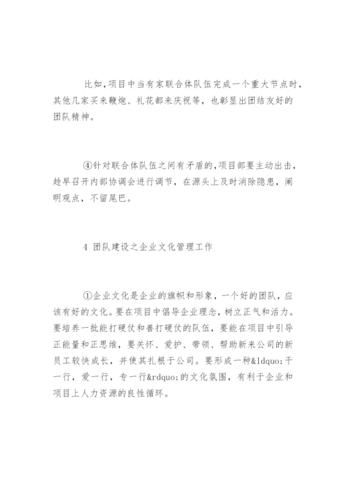 团队建设与项目管理.docx