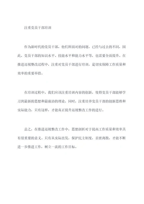巡视整改问题思想剖析剖析