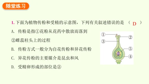 3.1.3开花和结果-七年级生物下学期同步精品课件（2024人教版）(共27张PPT)