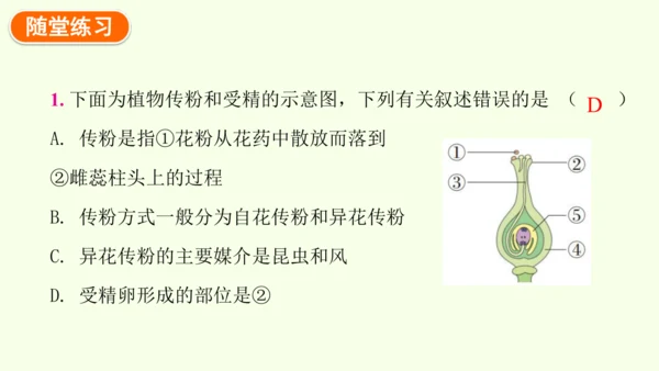 3.1.3开花和结果-七年级生物下学期同步精品课件（2024人教版）(共27张PPT)