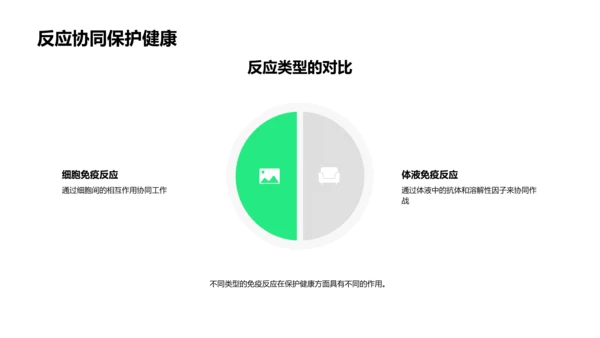 免疫系统解析PPT模板