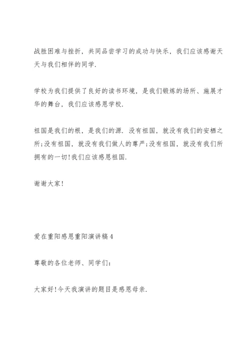 爱在重阳感恩重阳演讲稿5篇.docx