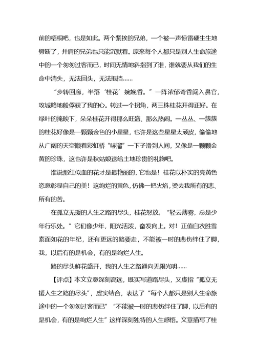 中考优秀作文范文：路的尽头鲜花盛开