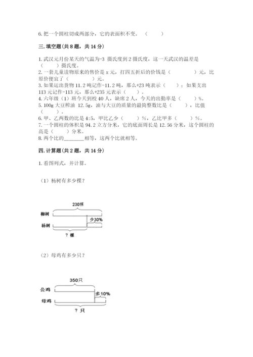 长丰县六年级下册数学期末测试卷必考题.docx