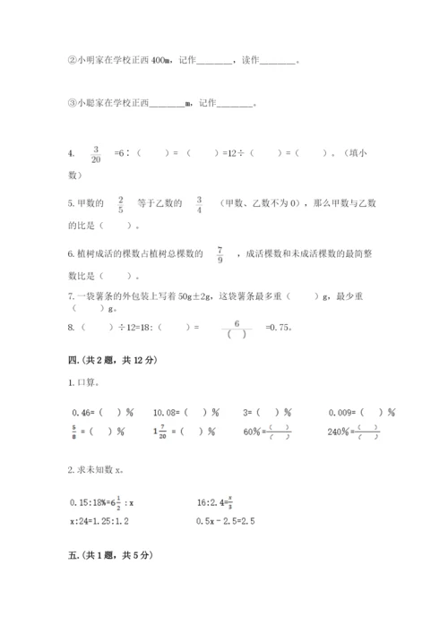 苏教版数学六年级下册试题期末模拟检测卷精品【达标题】.docx