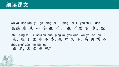 课文13《乌鸦喝水》课件