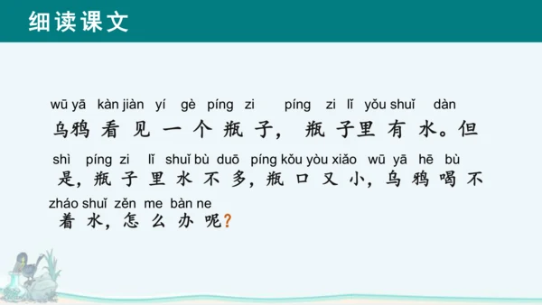 课文13《乌鸦喝水》课件