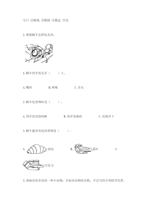 教科版一年级下册科学期末测试卷精品【基础题】.docx