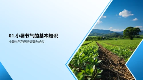 小暑科技农业论述