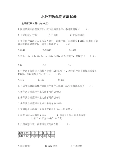 小升初数学期末测试卷精品（名校卷）.docx