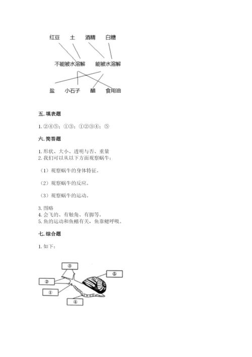 教科版小学科学一年级下册期末测试卷带答案（夺分金卷）.docx